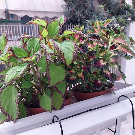 Athens Lovio Apartment Atenas Exterior foto